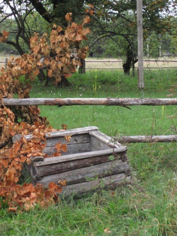 post-6657-0-83330100-1365227122_thumb.jp