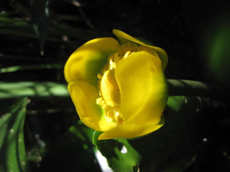 post-6657-0-83341300-1364801970_thumb.jp