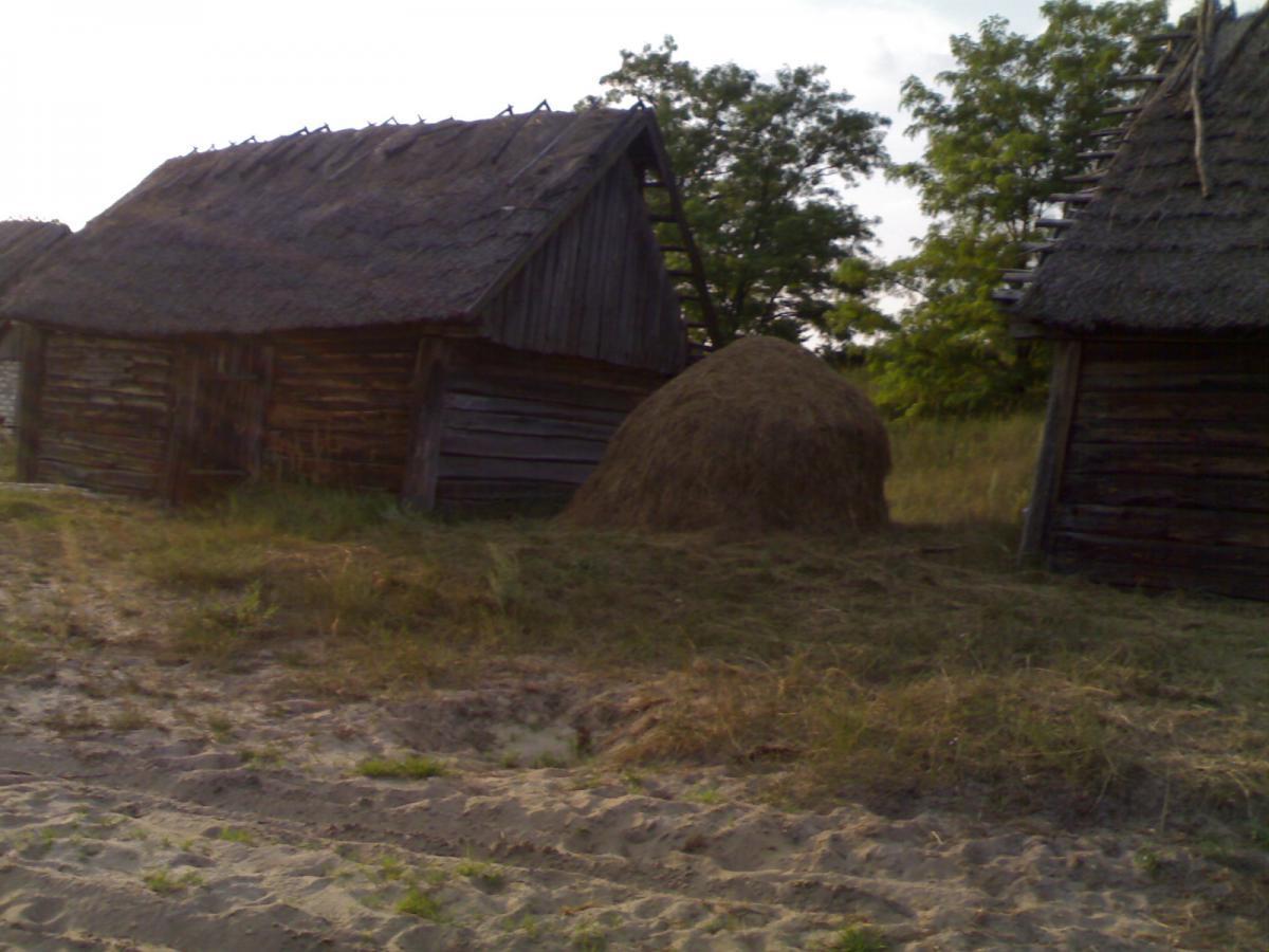 post-6657-0-83400800-1365178918_thumb.jp