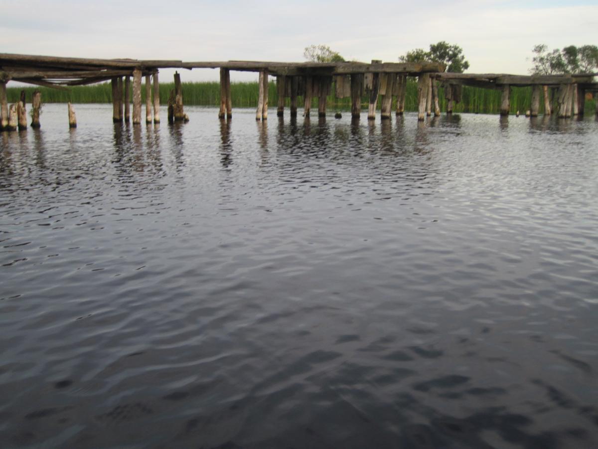 post-6657-0-83568100-1365752010_thumb.jp