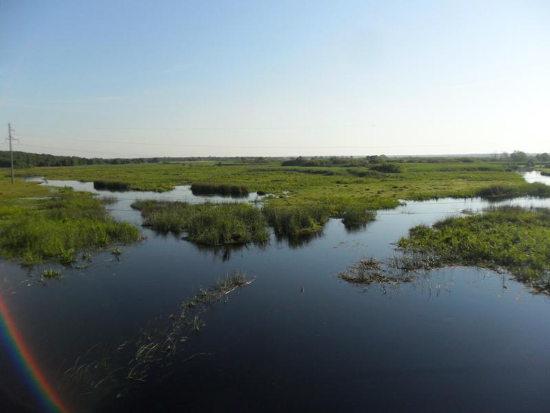 post-6657-0-86567300-1365149502_thumb.jp