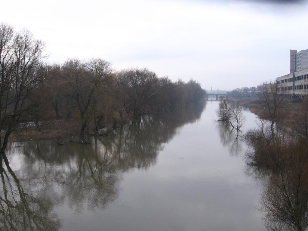 post-6657-0-89809400-1364973140_thumb.jp