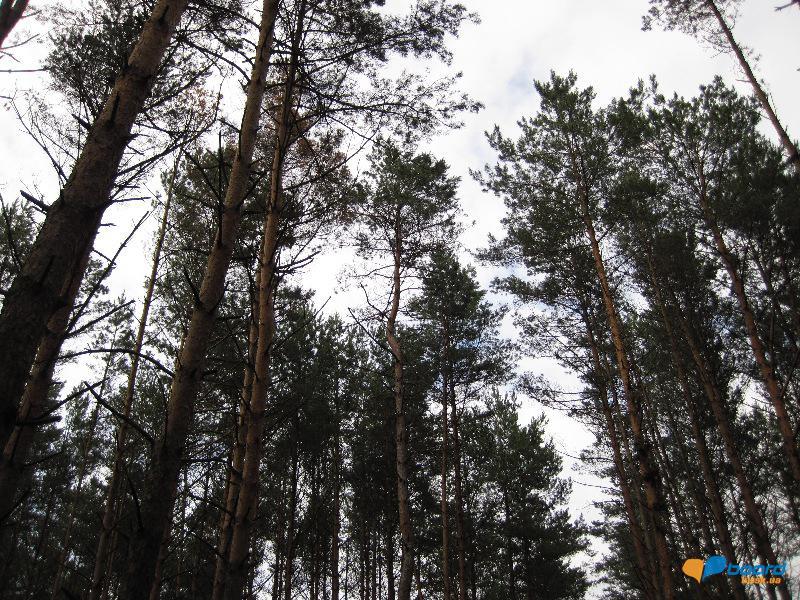 post-6657-0-90260600-1364800869_thumb.jp