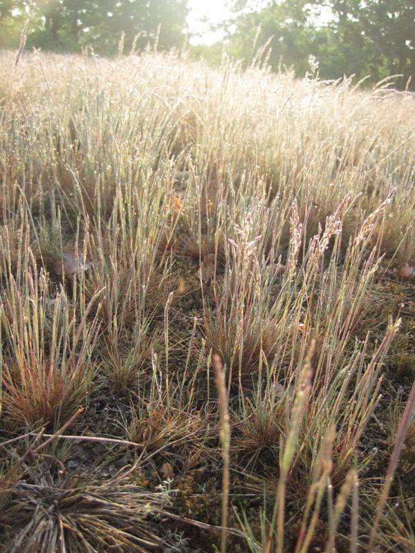 post-6657-0-90487500-1365148879_thumb.jp