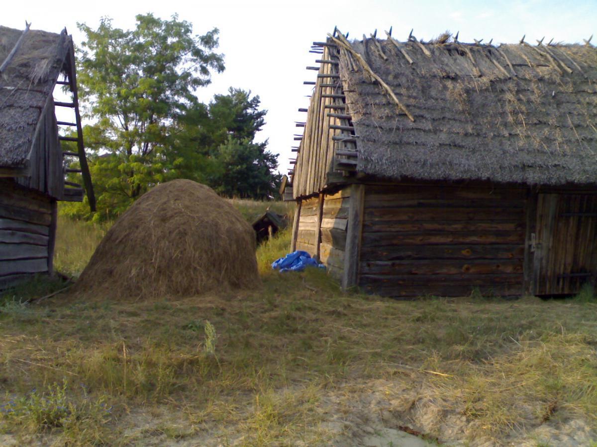 post-6657-0-91011800-1365178935_thumb.jp