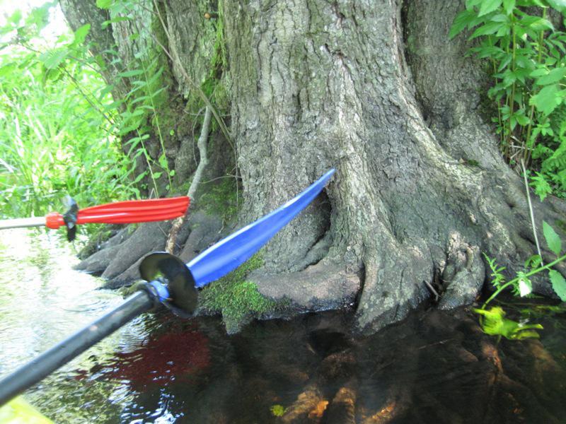 post-6657-0-94775300-1364802677_thumb.jp