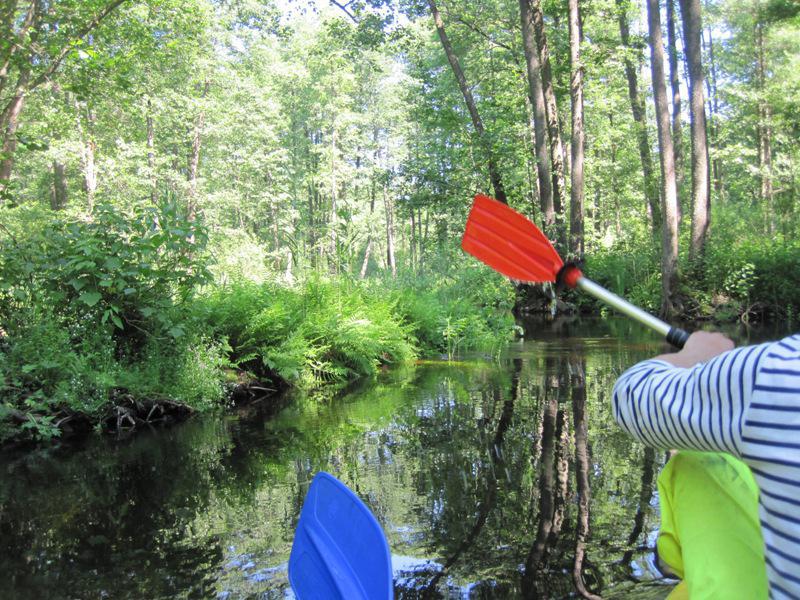 post-6657-0-95047700-1364969910_thumb.jp