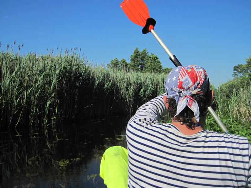 post-6657-0-96801500-1364970557_thumb.jp