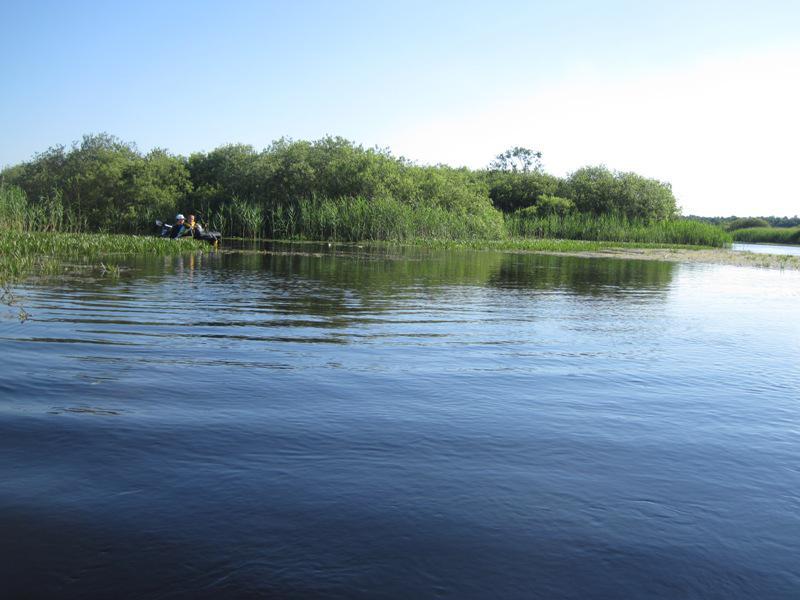 post-6657-0-96957700-1364970679_thumb.jp