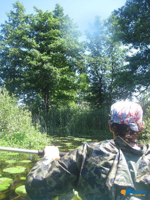 post-6657-0-97128800-1364801620_thumb.jp