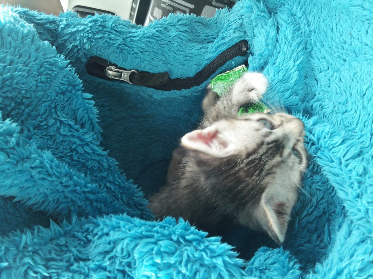 post-6805-0-02532300-1366135909_thumb.jp