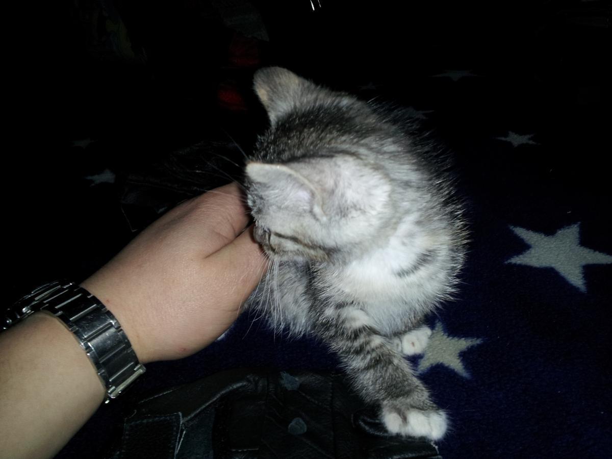 post-6805-0-11255900-1366135932_thumb.jp