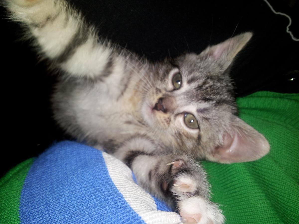 post-6805-0-28861600-1366136364_thumb.jp