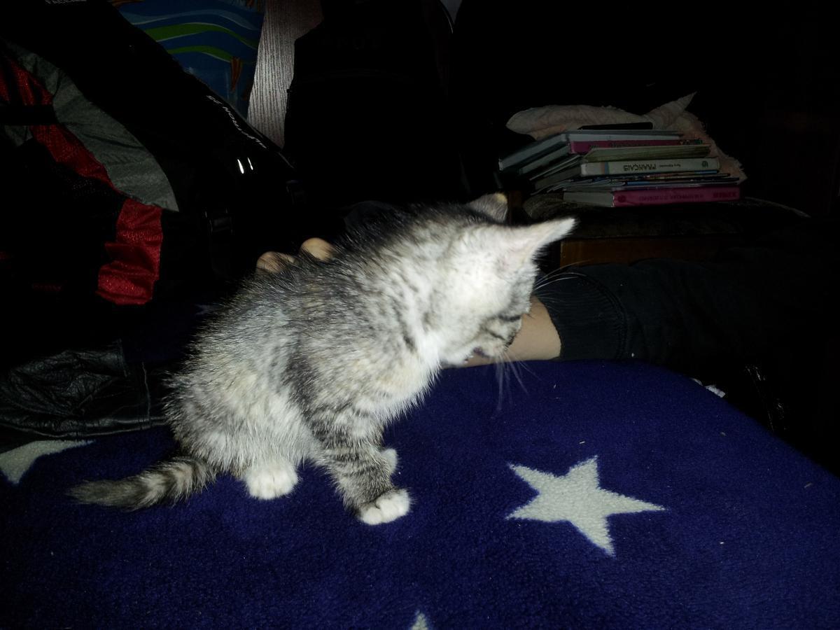 post-6805-0-42066300-1366135943_thumb.jp