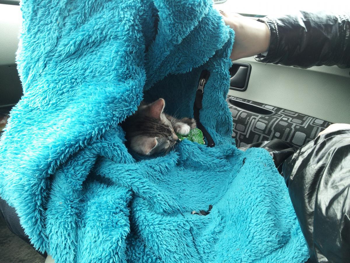 post-6805-0-43409300-1366135920_thumb.jp