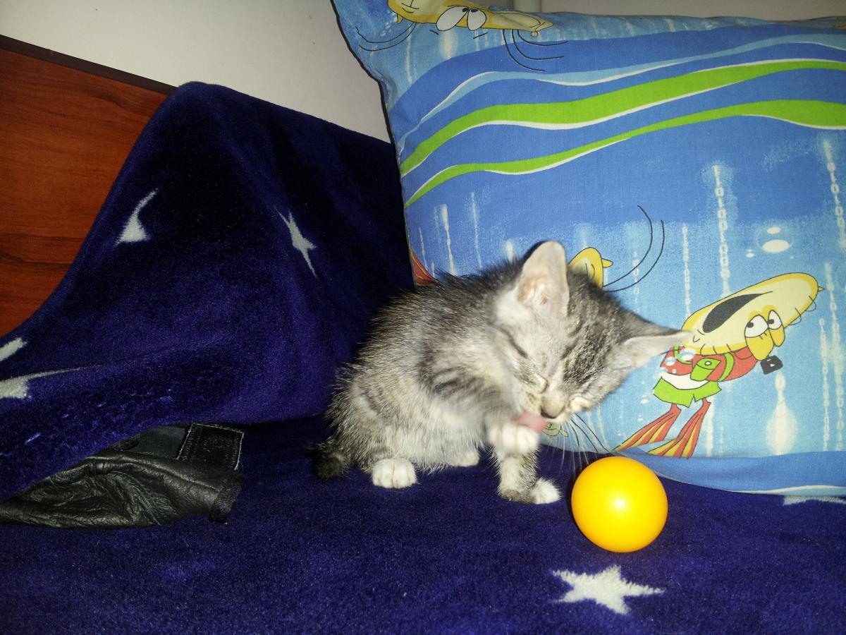 post-6805-0-81894900-1366135965_thumb.jp