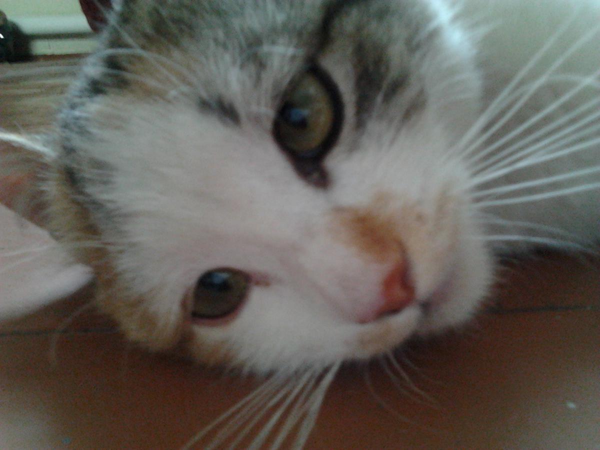 post-7467-0-20763800-1366663505_thumb.jp