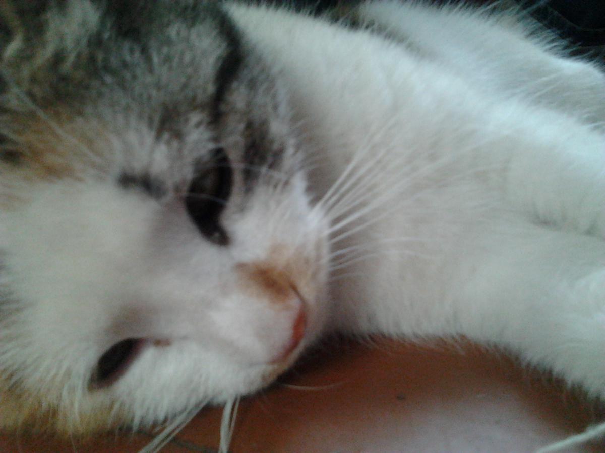 post-7467-0-33958400-1366663524_thumb.jp