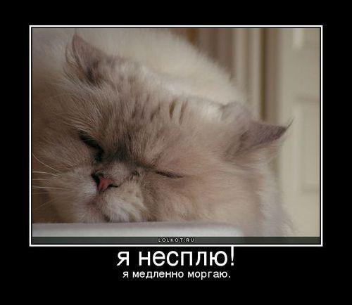 post-7467-0-85030400-1365463015_thumb.jp