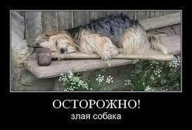 post-7467-0-96417900-1366399248_thumb.jp