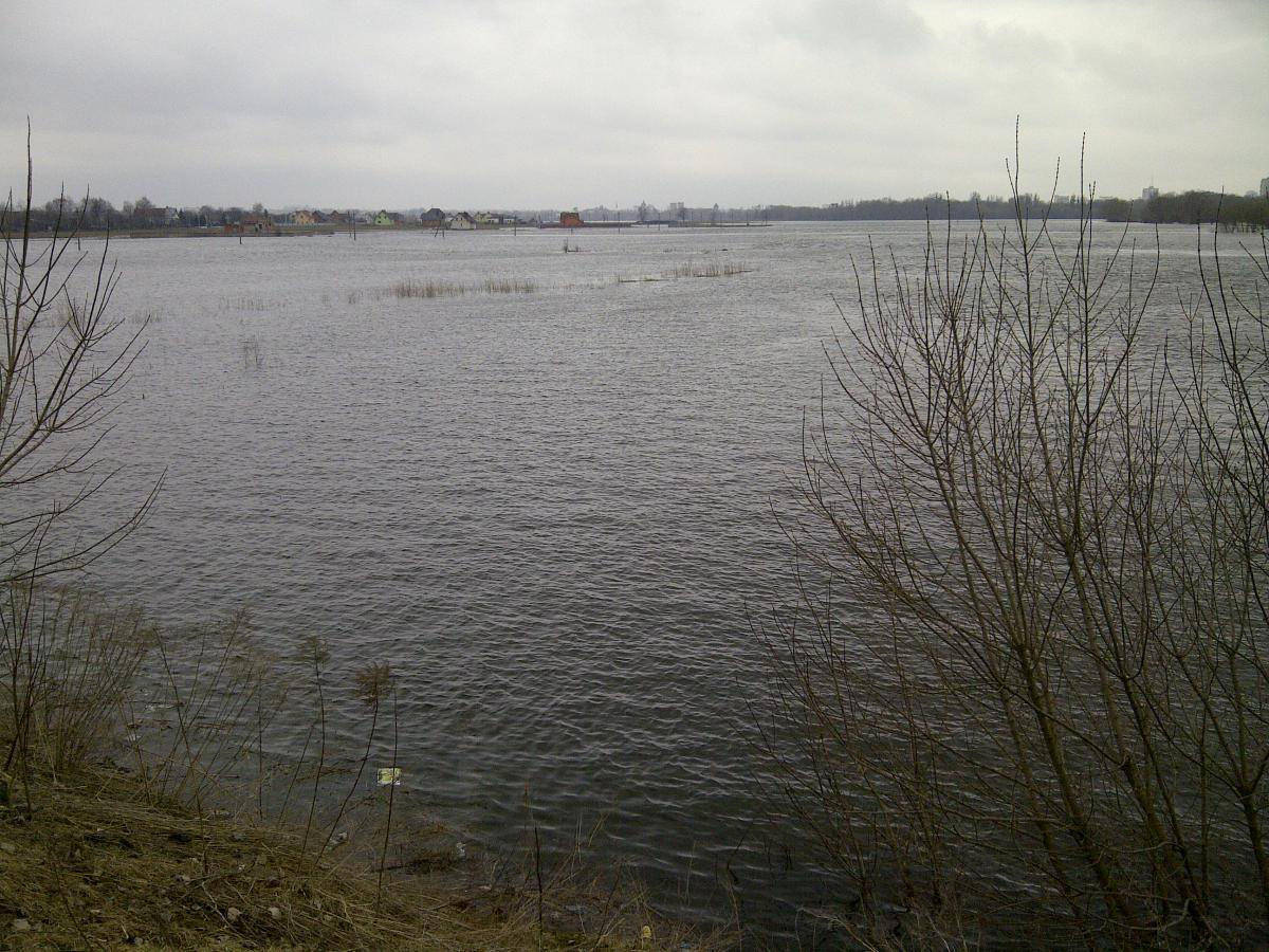 post-7896-0-27845300-1365951969_thumb.jp