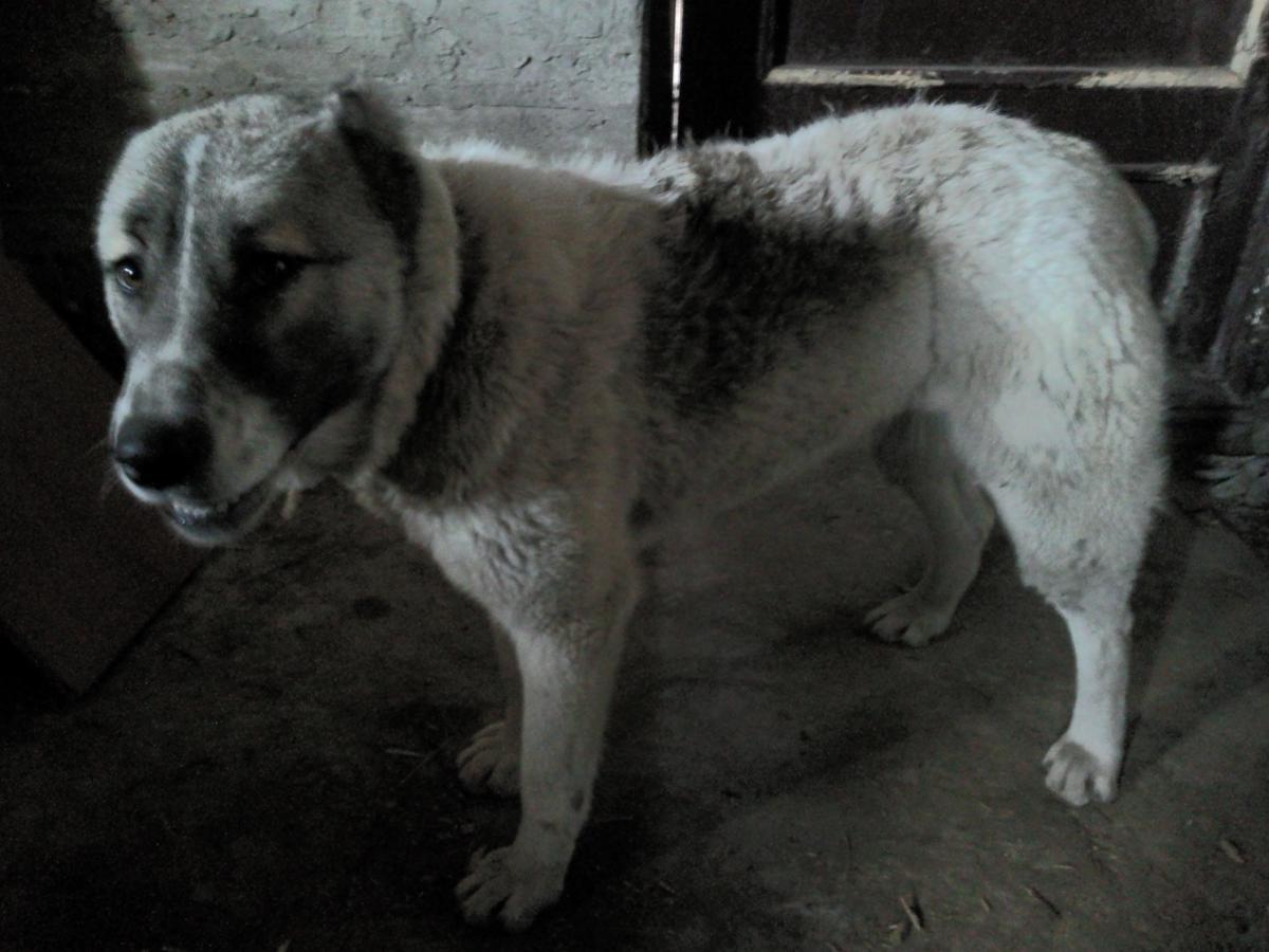 post-8272-0-06473000-1366099191_thumb.jp