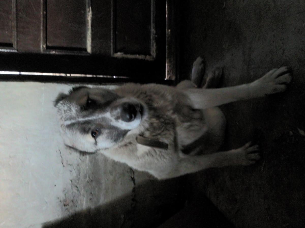 post-8272-0-10126000-1366099207_thumb.jp