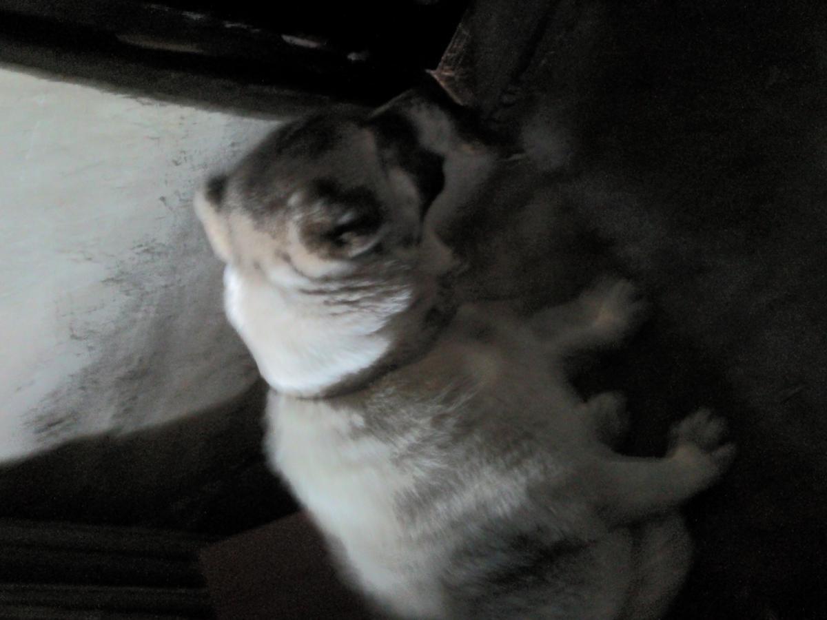 post-8272-0-30354100-1366372554_thumb.jp