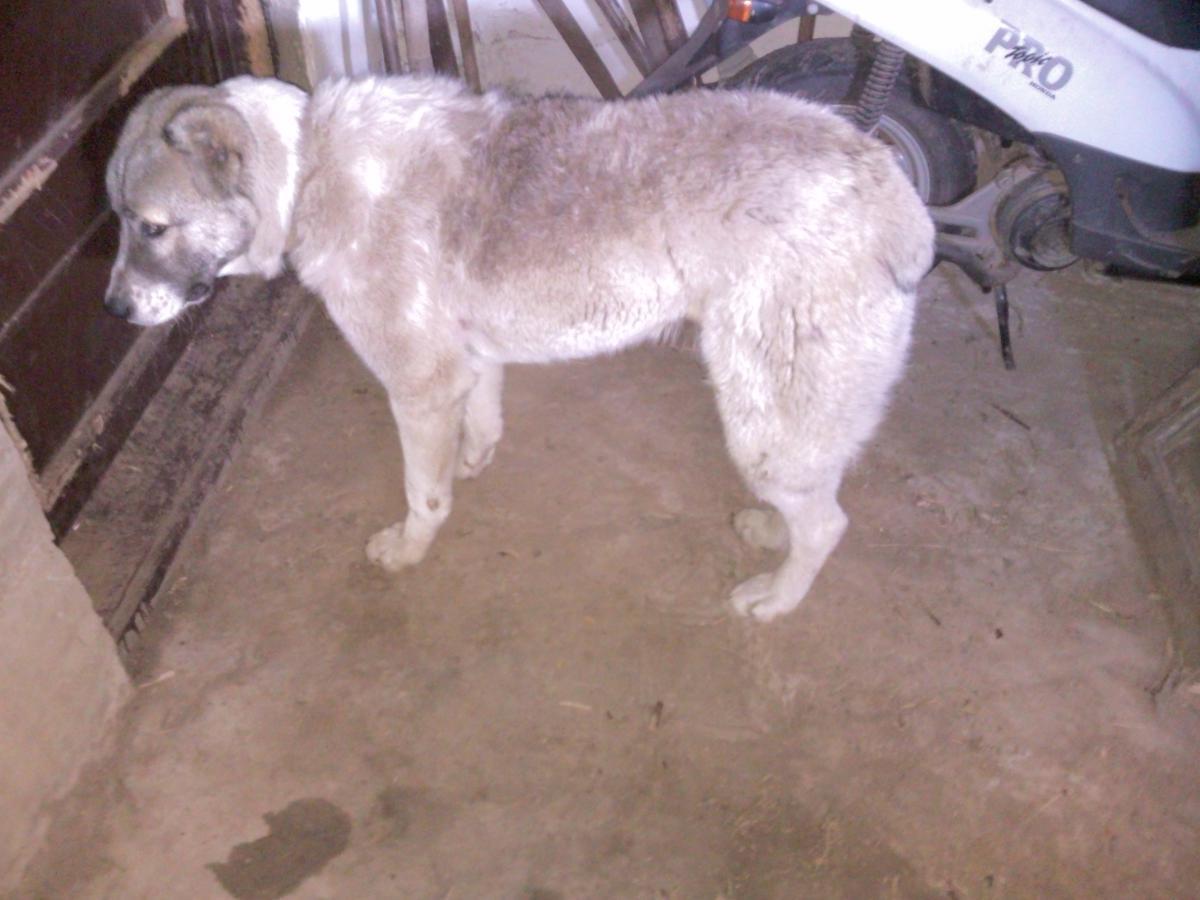 post-8272-0-49268800-1366372579_thumb.jp