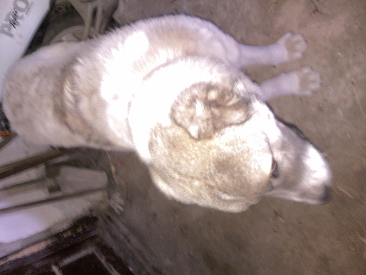 post-8272-0-49332300-1366099297_thumb.jp