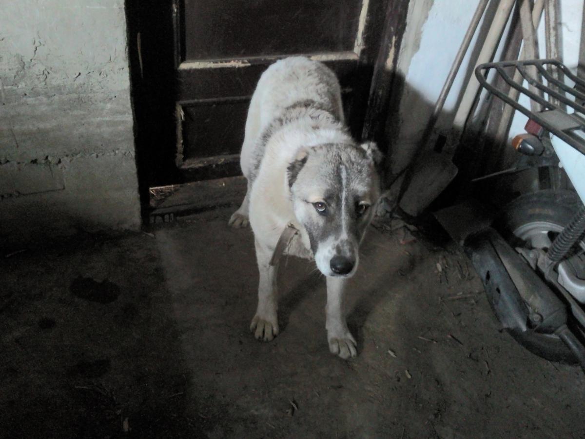 post-8272-0-51437100-1366099149_thumb.jp