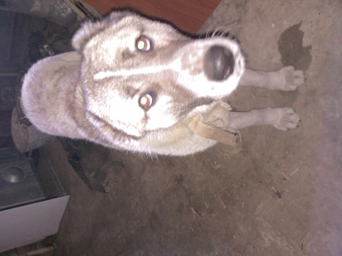 post-8272-0-83469300-1366099251_thumb.jp