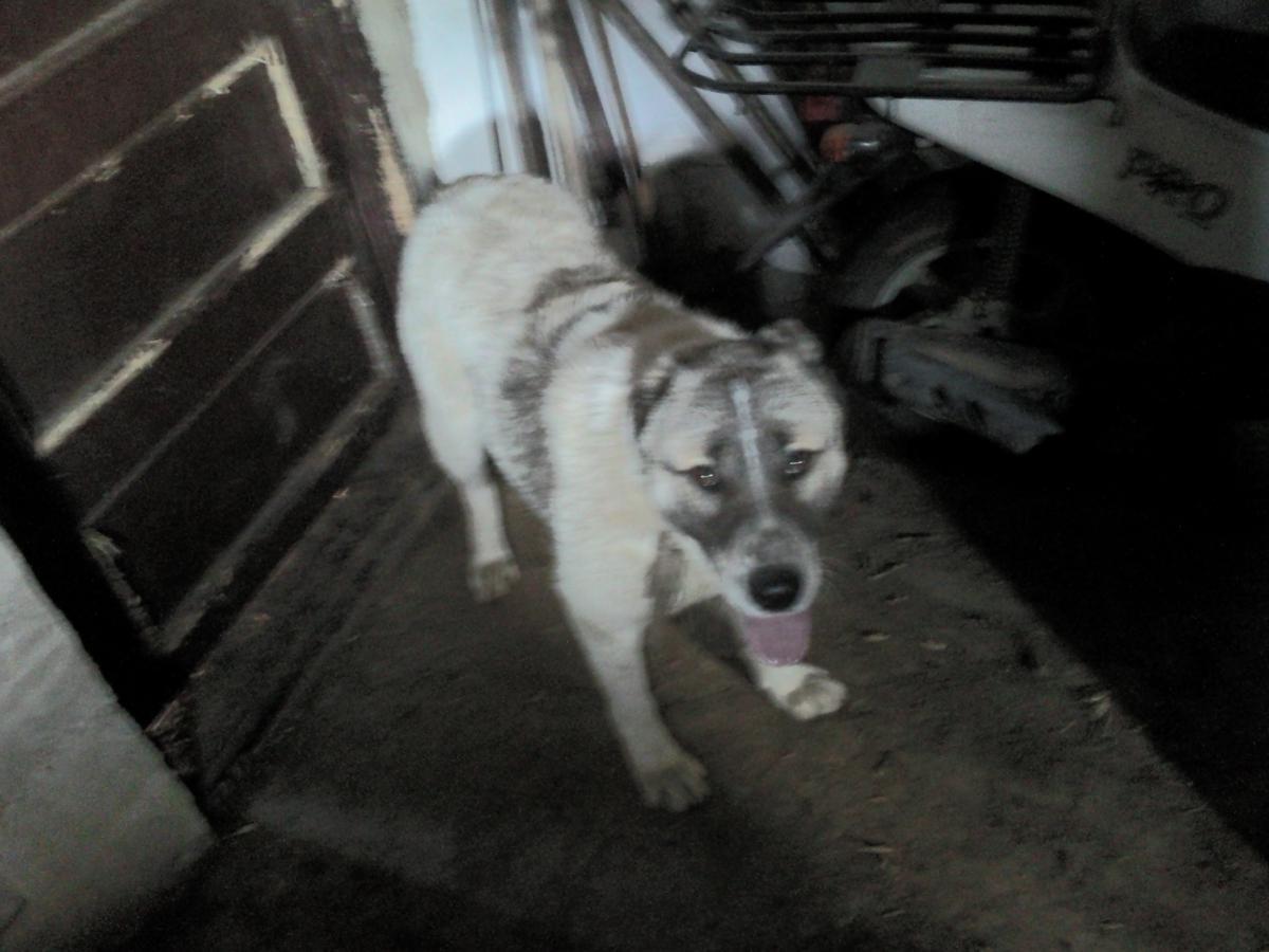 post-8272-0-95150000-1366099169_thumb.jp