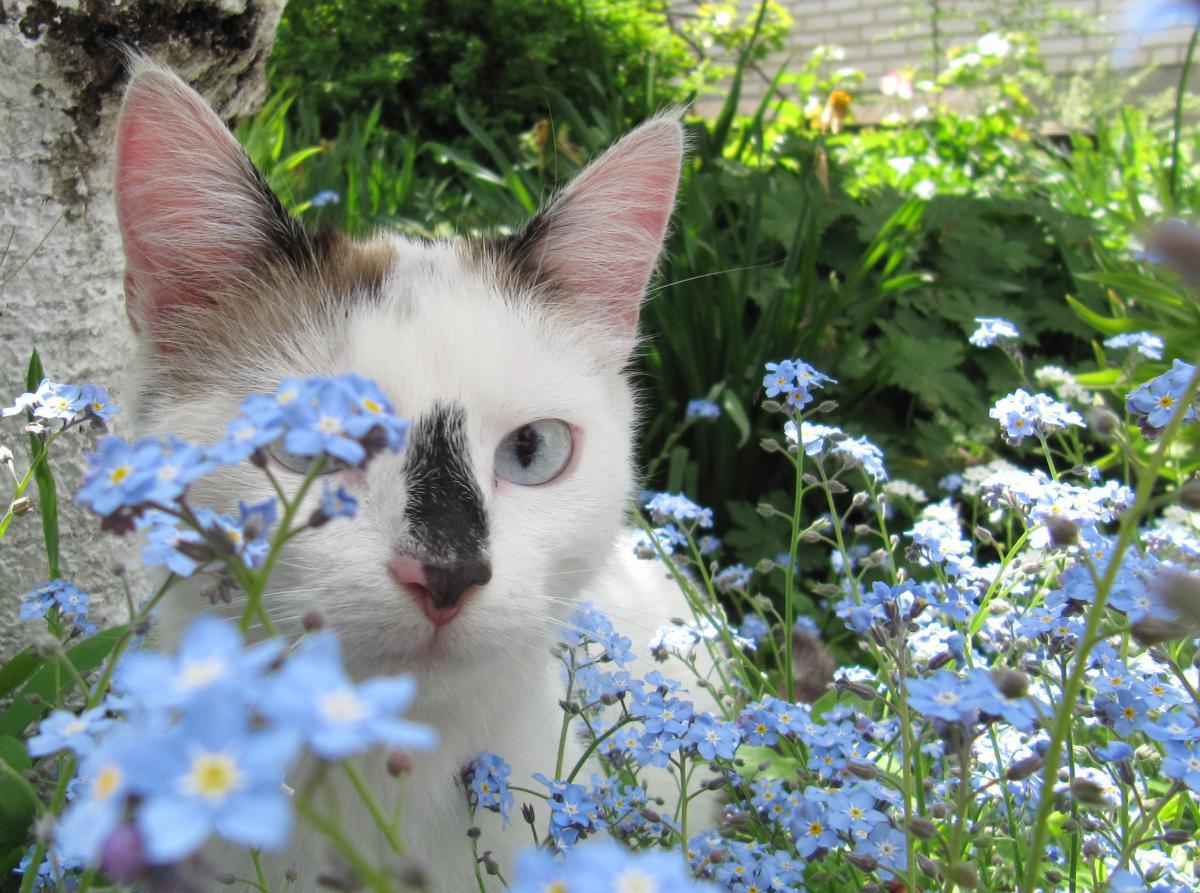 post-8317-0-57540600-1366806118_thumb.jp