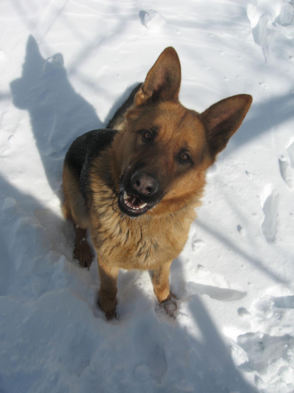 post-9524-0-94641800-1366826382_thumb.jp