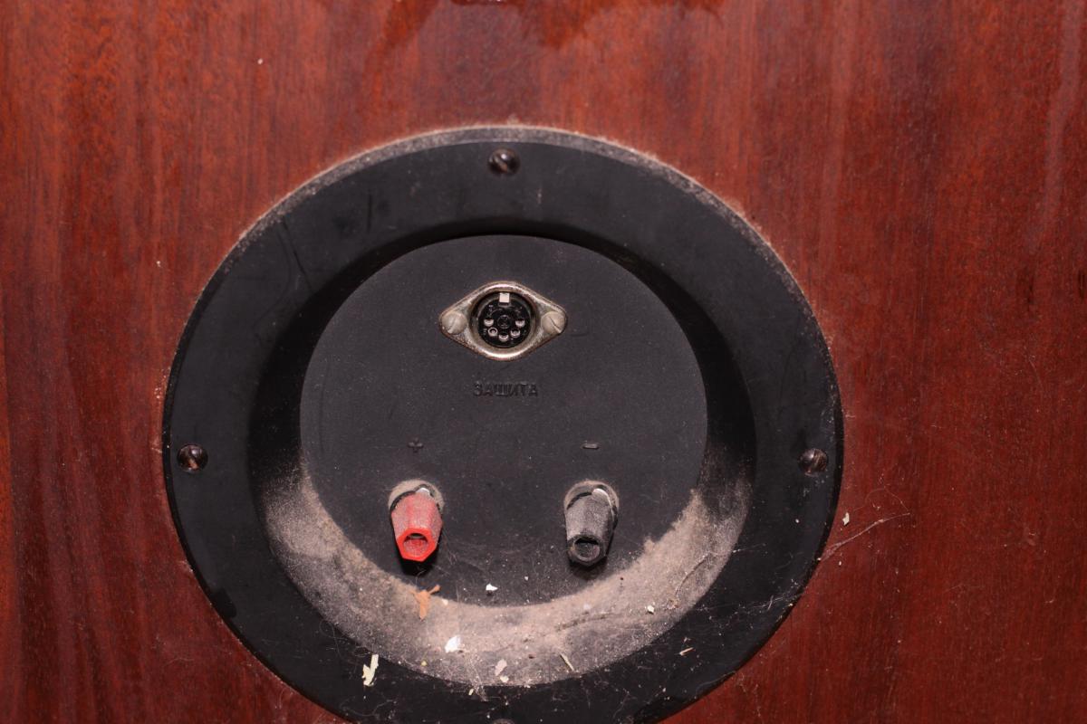 post-9929-0-66140900-1365972502_thumb.jp