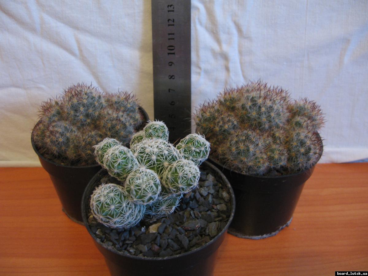 post-10233-0-48078900-1348577077_thumb.j