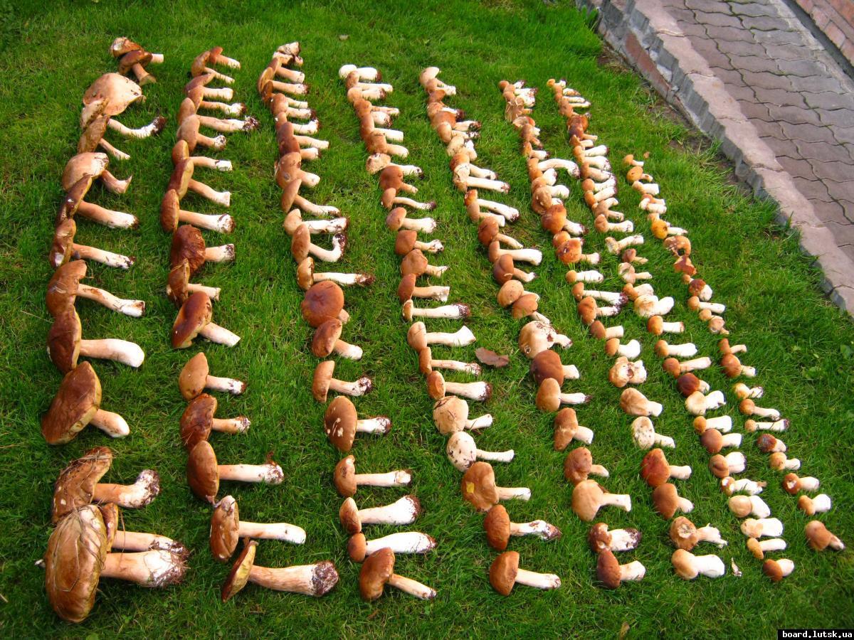 post-10657-0-51264700-1347372271_thumb.j