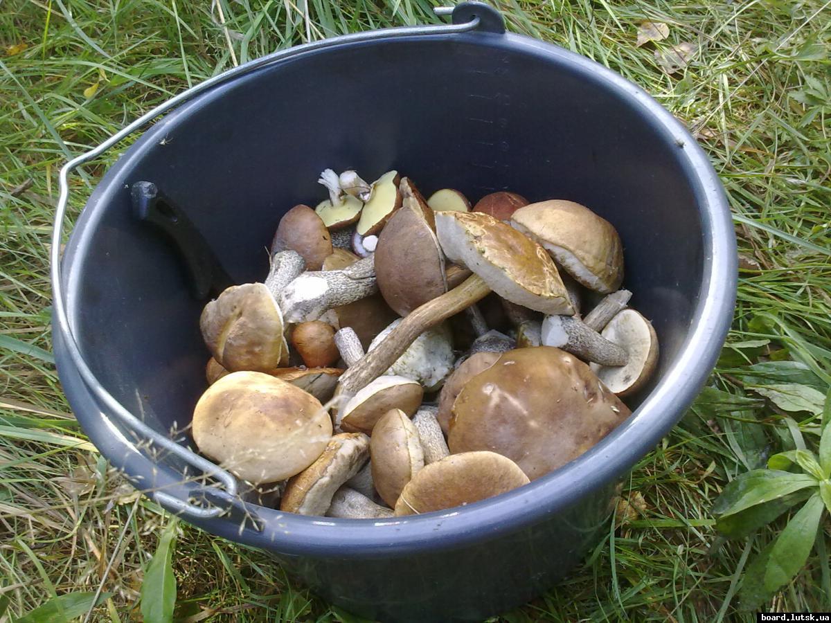 post-11163-0-27547000-1348769609_thumb.j