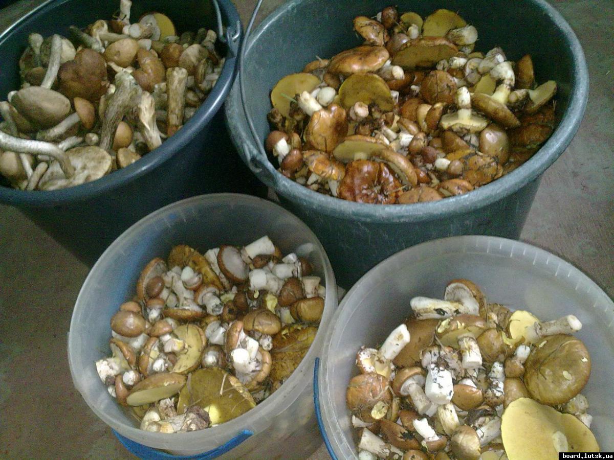 post-11163-0-44918600-1347254374_thumb.j