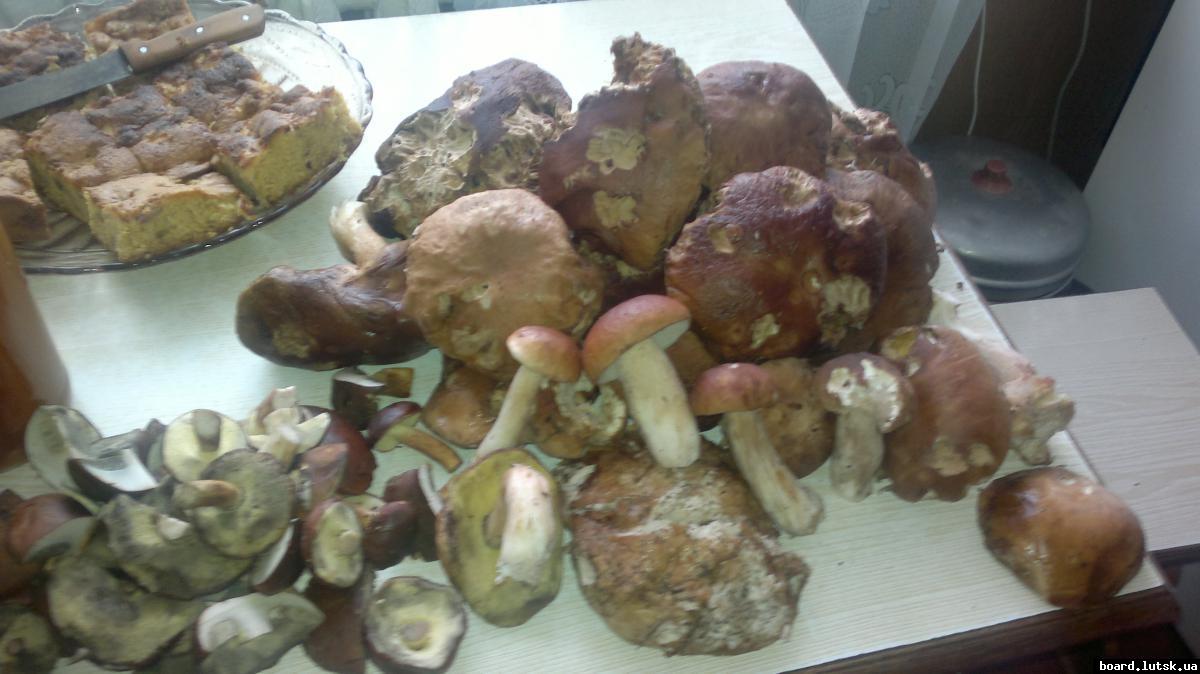 post-11231-0-15051700-1347810080_thumb.j