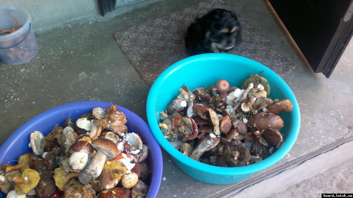 post-11231-0-20083500-1347208343_thumb.j