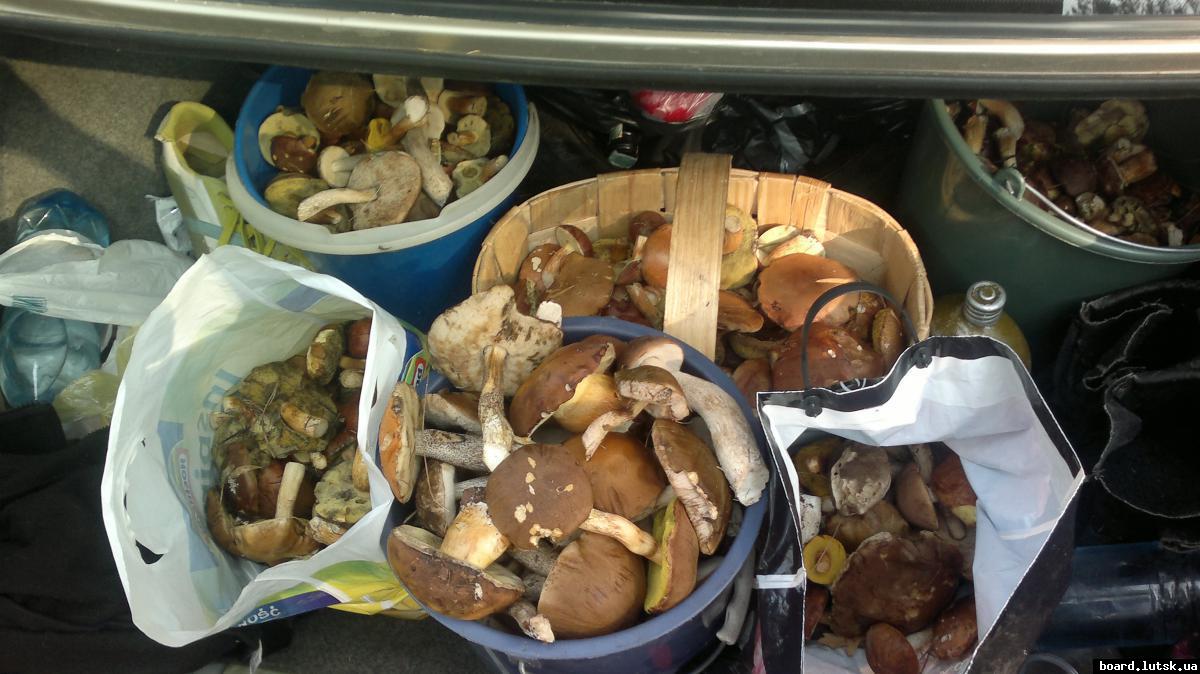 post-11231-0-21803600-1348081846_thumb.j