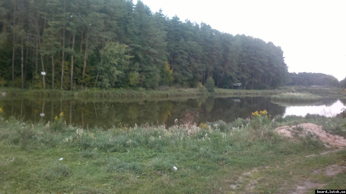 post-11231-0-46263500-1348763682_thumb.j