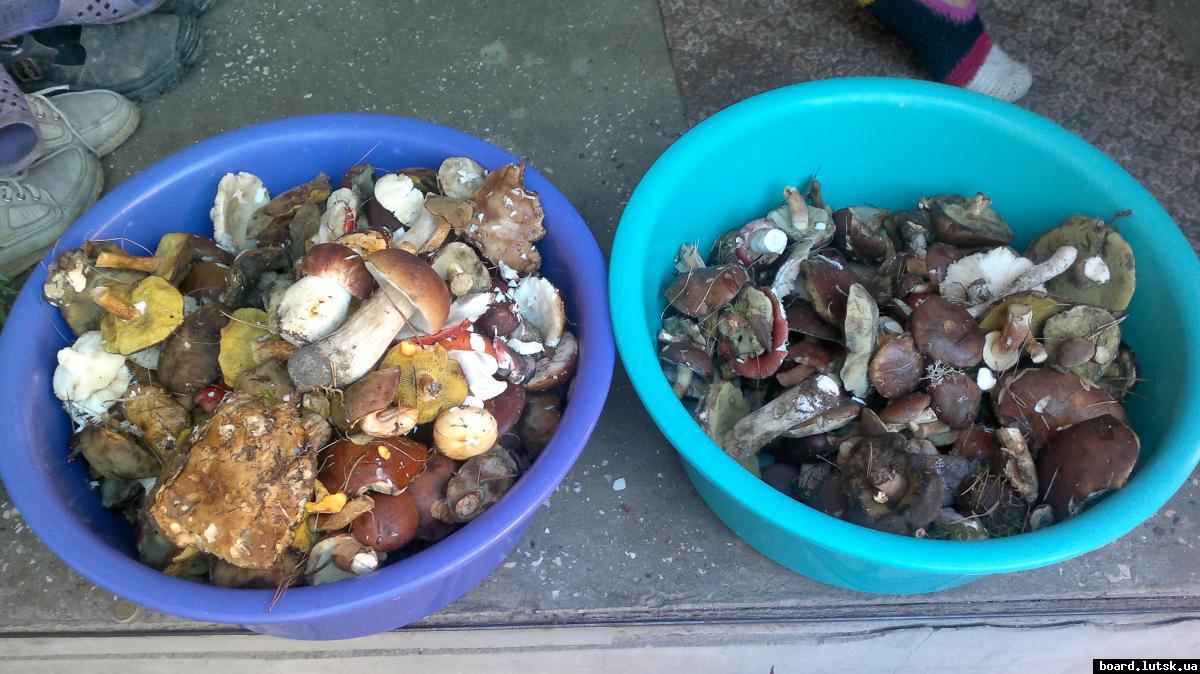 post-11231-0-59282700-1347208354_thumb.j