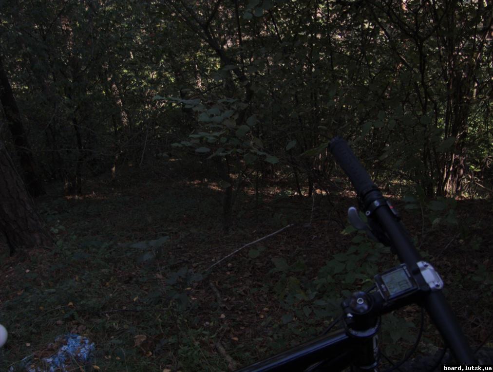 post-12363-0-49782900-1348871588_thumb.j