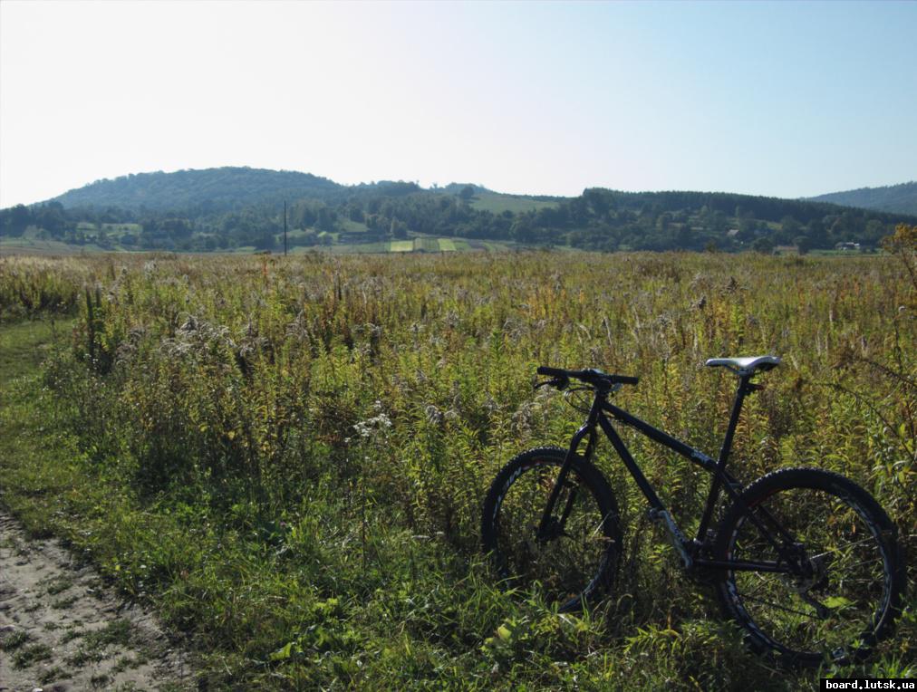 post-12363-0-71509700-1348872363_thumb.j