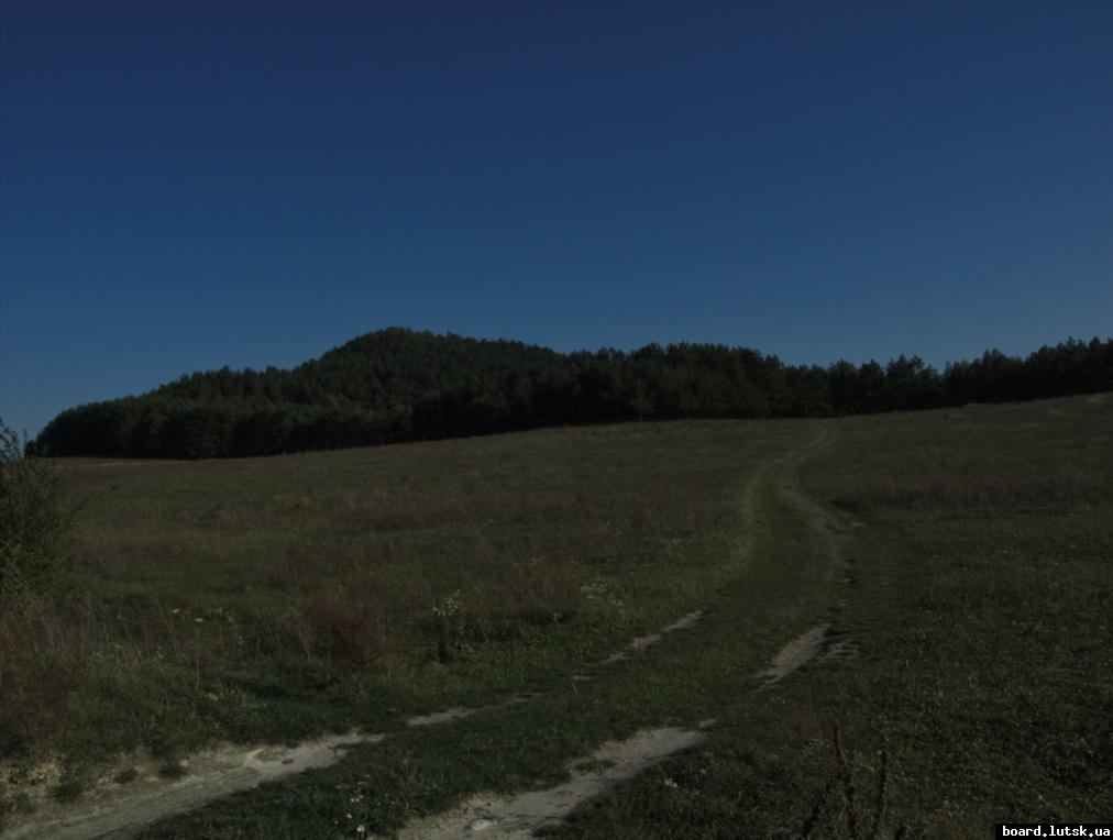 post-12363-0-85082600-1348871537_thumb.j