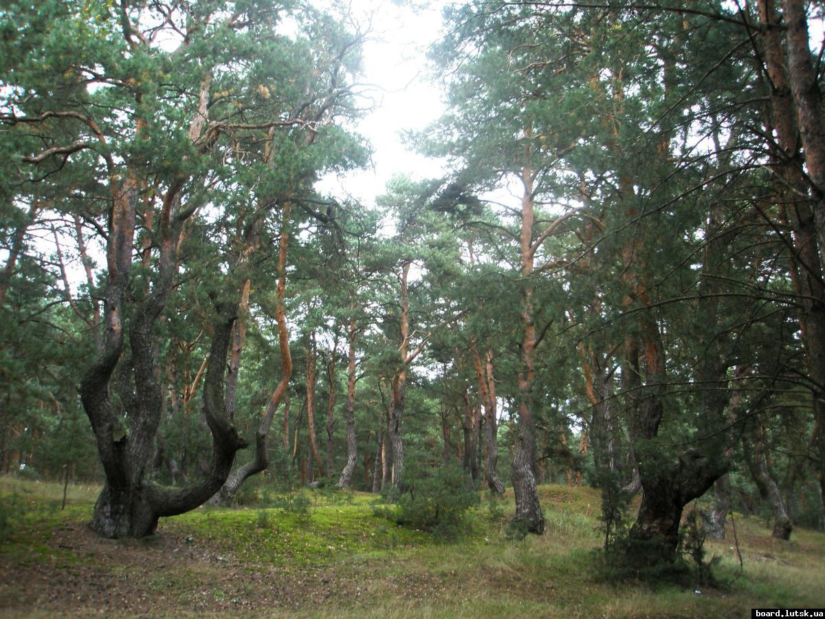 post-13051-0-27434000-1346877591_thumb.j