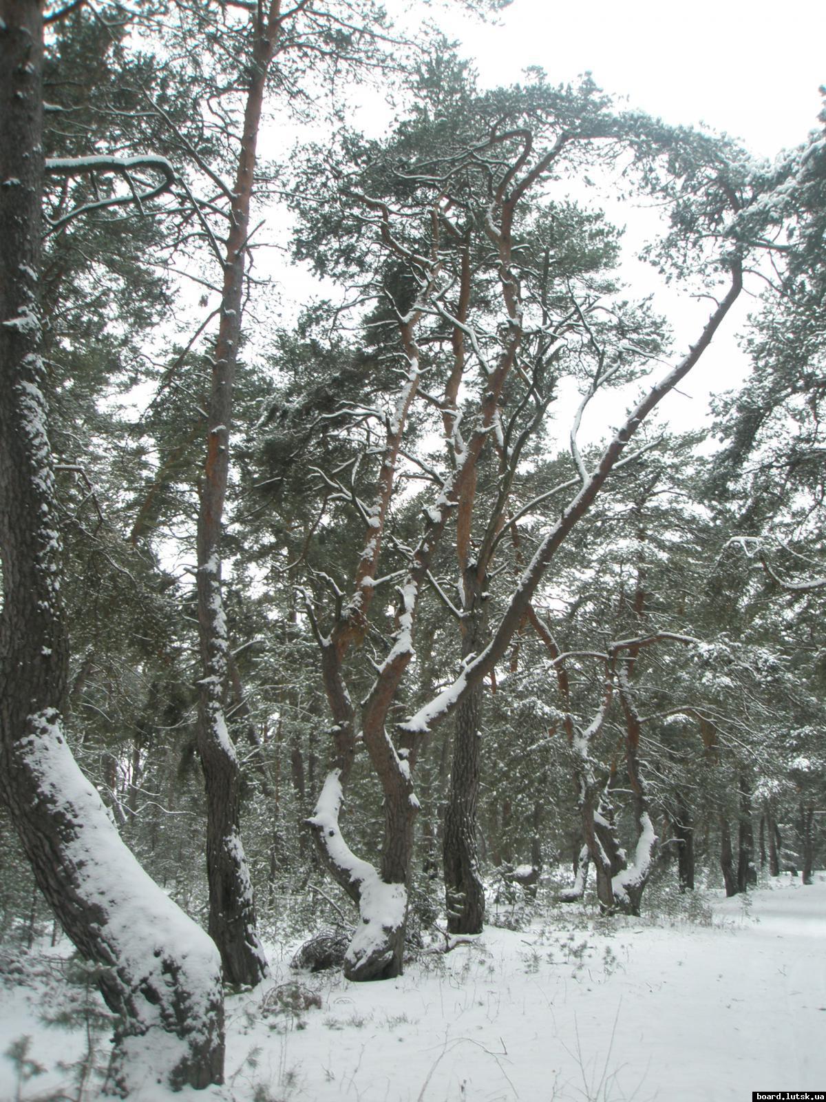 post-13051-0-81787500-1346877524_thumb.j